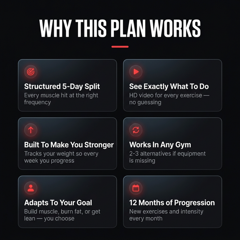 Sky Sins Coaching Personalized Transformation Plan