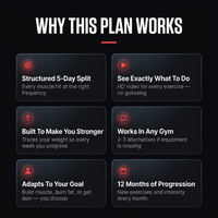 Sky Sins Coaching Personalized Transformation Plan